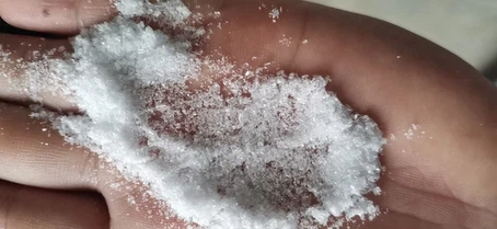 Pregabalin | Shaanxi BLOOM Tech Co., Ltd Pregabalin | Shaanxi BLOOM Tech Co., Ltd