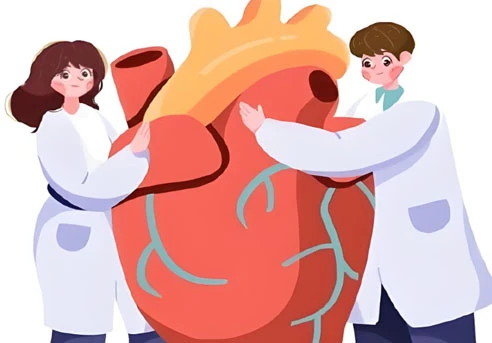 Cardiovascular Concerns | Shaanxi BLOOM Tech Co., Ltd Cardiovascular Concerns | Shaanxi BLOOM Tech Co., Ltd