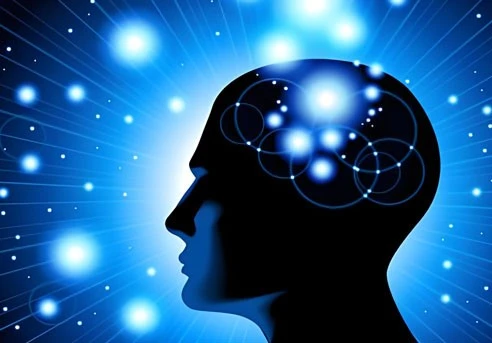 Neurological | Shaanxi BLOOM Tech Co., Ltd Neurological | Shaanxi BLOOM Tech Co., Ltd