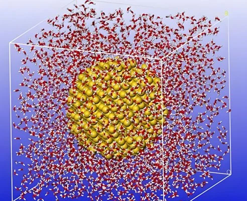 SLU-PP-332 Tablets use | Shaanxi BLOOM Tech Co., Ltd SLU-PP-332 Tablets use | Shaanxi BLOOM Tech Co., Ltd