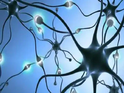 Slu-PP-332 500mcg | Shaanxi BLOOM Tech Co., Ltd Slu-PP-332 500mcg | Shaanxi BLOOM Tech Co., Ltd