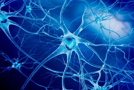 GS-441524 Restoration of Neural Function | Shaanxi BLOOM Tech Co., Ltd