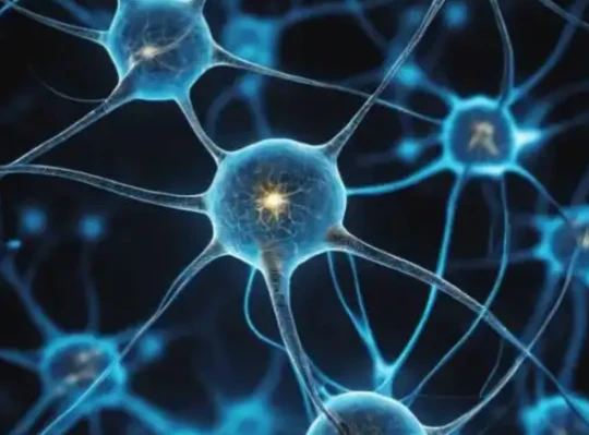 GS-441524 brain function | Shaanxi BLOOM Tech Co., Ltd GS-441524 brain function | Shaanxi BLOOM Tech Co., Ltd