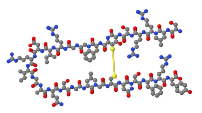 Atrial Natriuretic Peptide Rat 250mcg | Shaanxi BLOOM Tech Co., Ltd Atrial Natriuretic Peptide Rat 250mcg | Shaanxi BLOOM Tech Co., Ltd